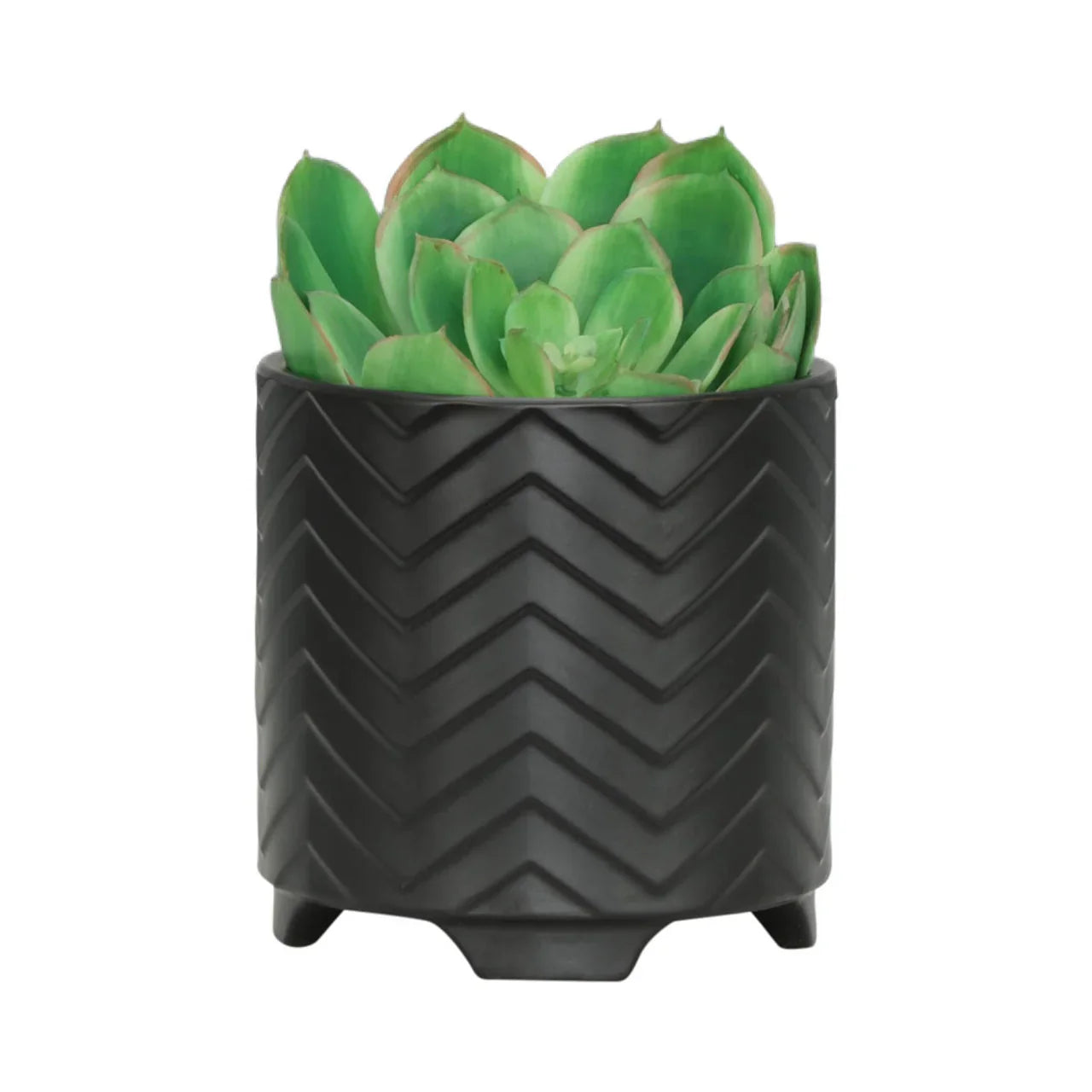 Chevron Matte Schwarzfußpflanzer 8x8